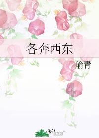 公主的成人礼